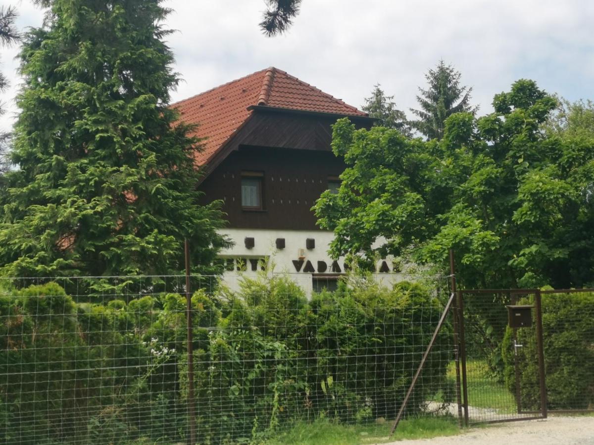 Szechenyi Vadaszhaz Hotel Őriszentpéter Eksteriør billede